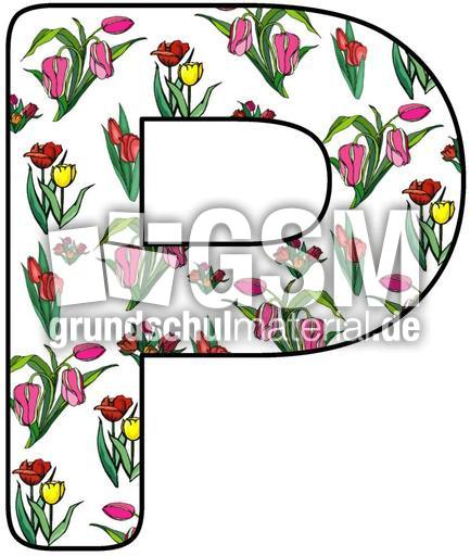 Tulpen-Buchstabe-P.jpg